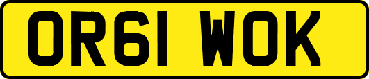 OR61WOK