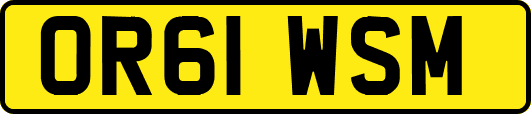 OR61WSM