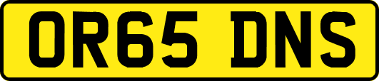 OR65DNS