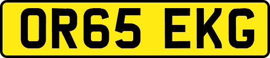 OR65EKG