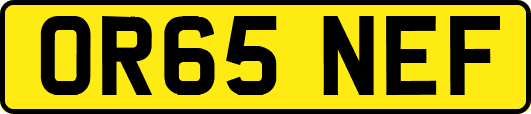 OR65NEF