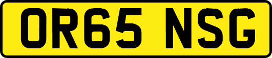 OR65NSG