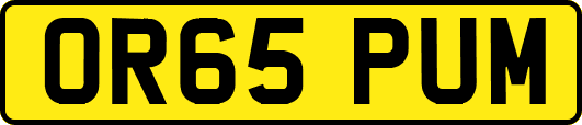 OR65PUM
