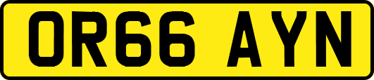 OR66AYN