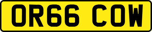 OR66COW