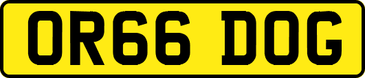 OR66DOG