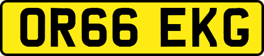 OR66EKG