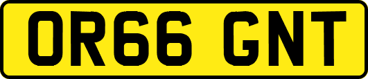 OR66GNT