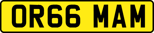 OR66MAM