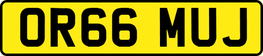 OR66MUJ
