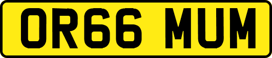 OR66MUM