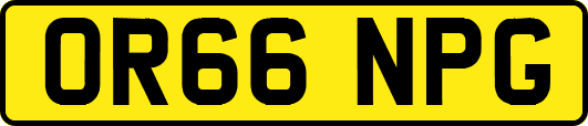 OR66NPG