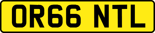 OR66NTL