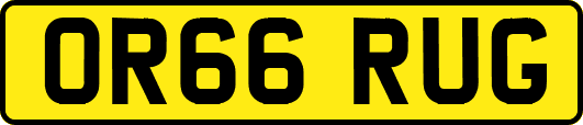 OR66RUG