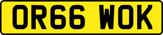 OR66WOK