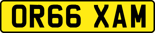OR66XAM