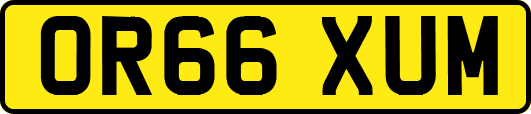 OR66XUM