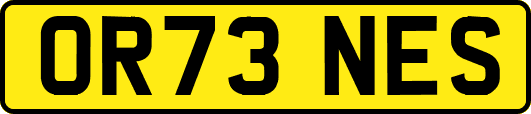 OR73NES