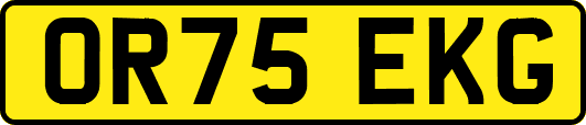 OR75EKG