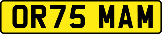 OR75MAM