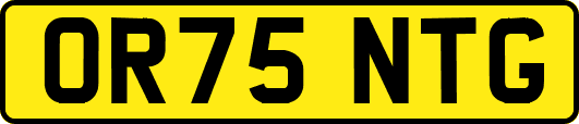 OR75NTG