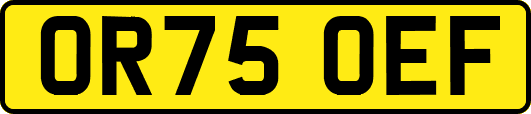 OR75OEF