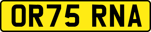 OR75RNA