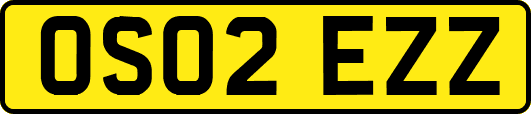 OS02EZZ