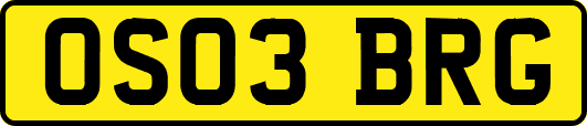 OS03BRG