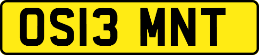 OS13MNT