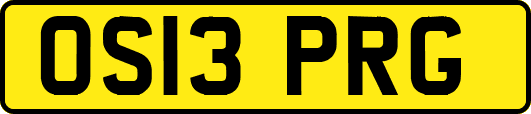 OS13PRG
