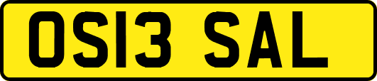 OS13SAL