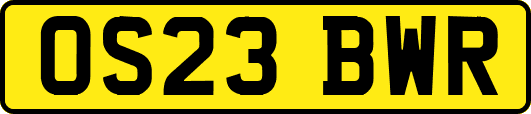 OS23BWR