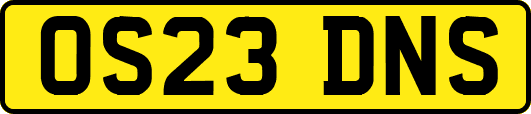 OS23DNS