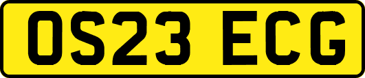 OS23ECG