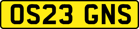 OS23GNS