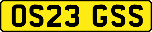 OS23GSS