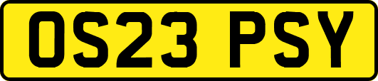 OS23PSY