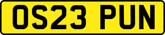 OS23PUN