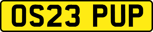 OS23PUP