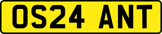 OS24ANT