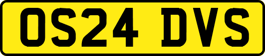 OS24DVS