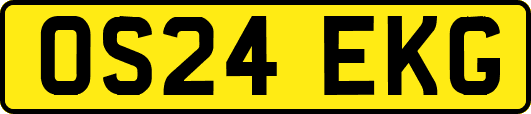 OS24EKG