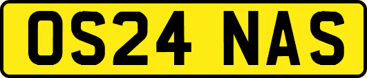 OS24NAS