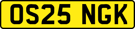 OS25NGK