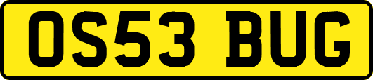 OS53BUG