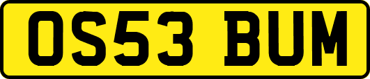 OS53BUM