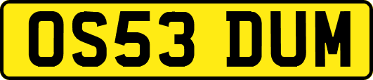OS53DUM
