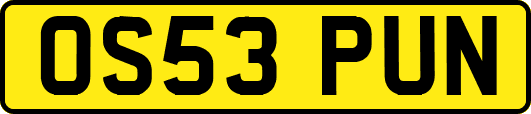OS53PUN