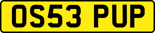 OS53PUP